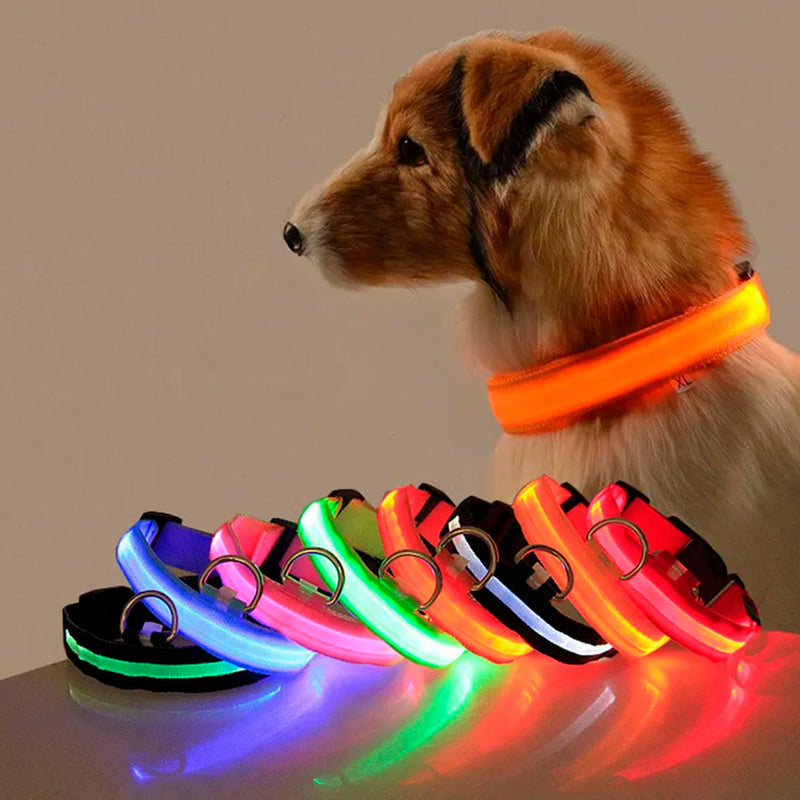 Coleira Led Recarregável Anti-Perda para Cães