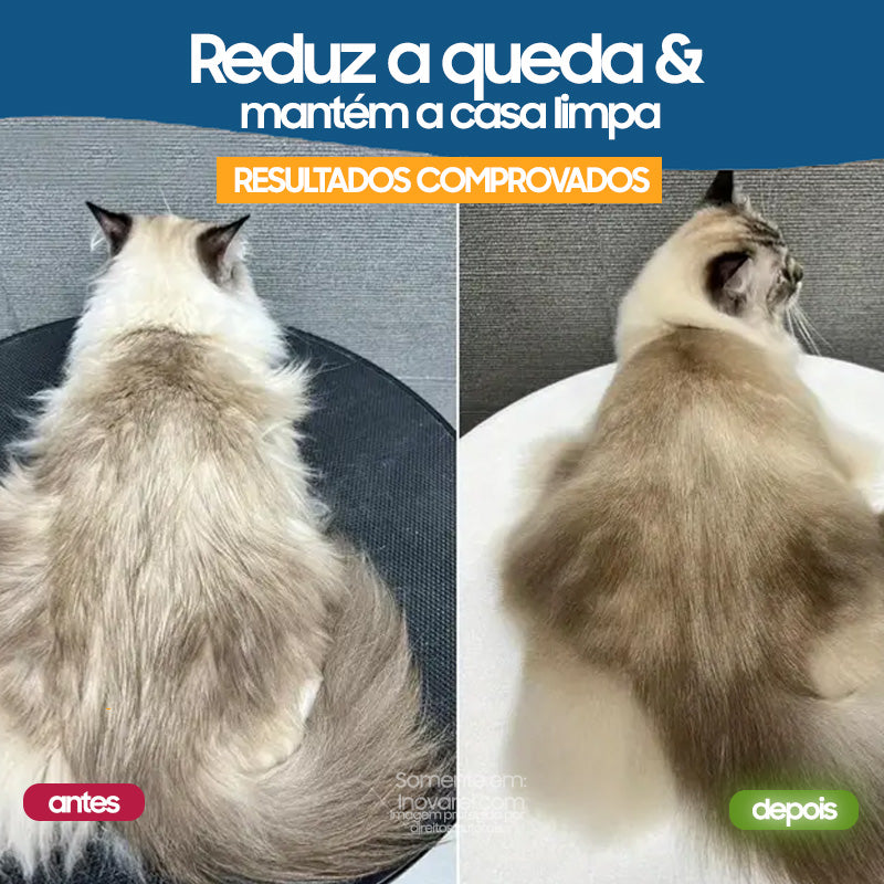Escova com Vapor Peluffi® para Cães e Gatos - Reduz Queda de Pelos e Hidrata a Pelagem