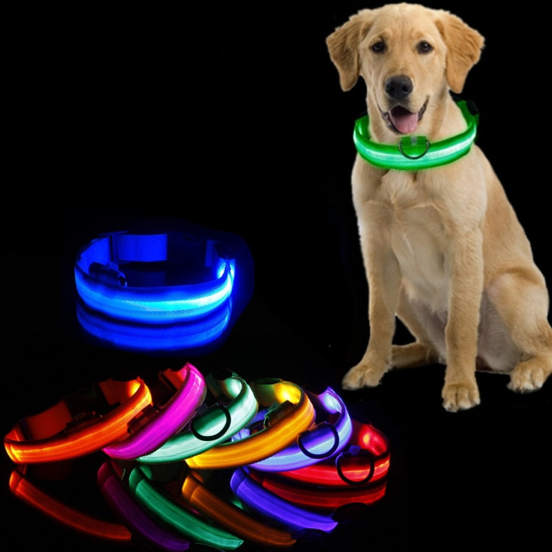 Coleira Led Recarregável Anti-Perda para Cães